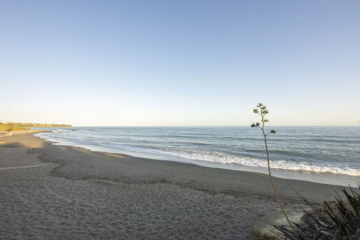 1aef28f8-7993-4fdd-ba7e-ca4ed25bfa5a