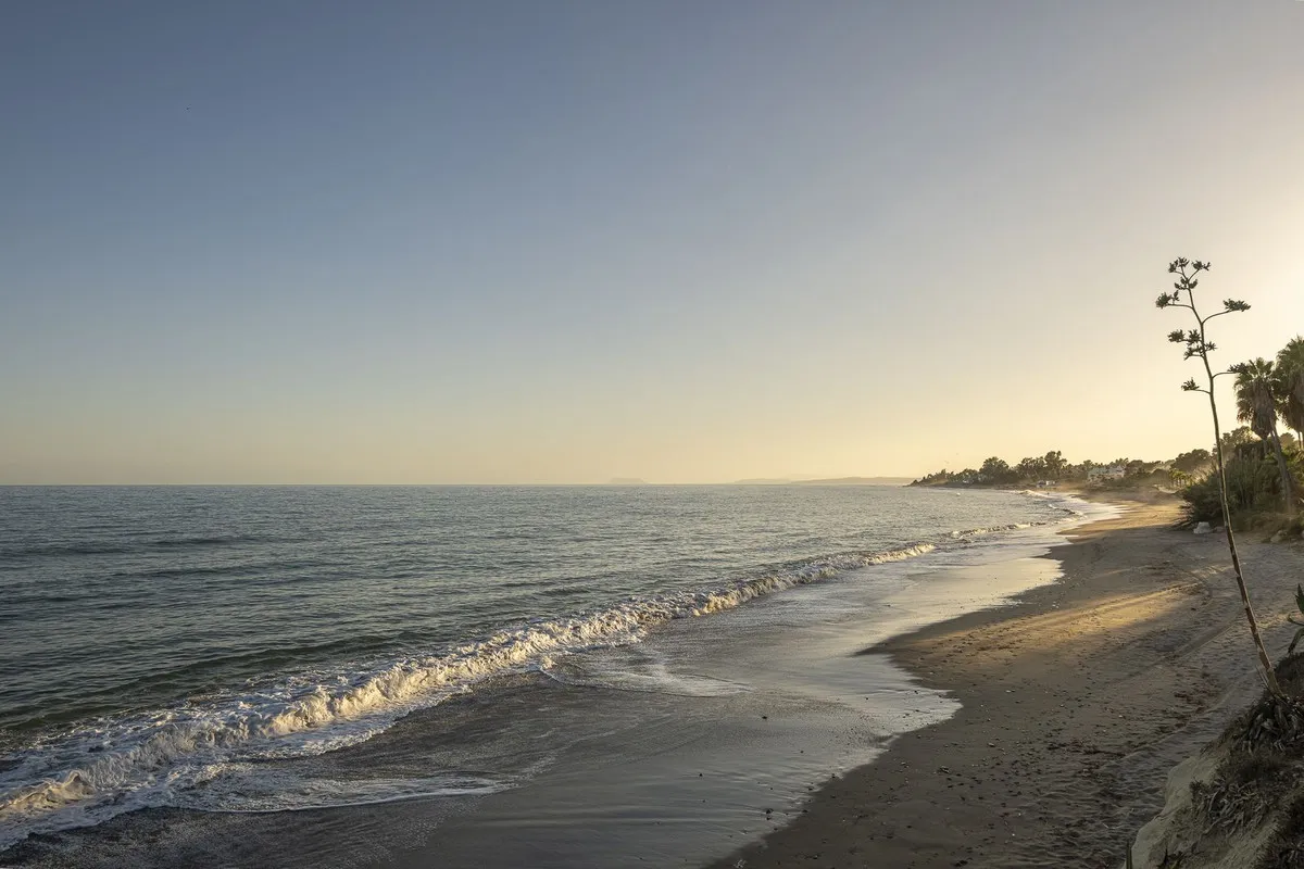 40418755-f9ae-40ea-8a25-b8935de89fce