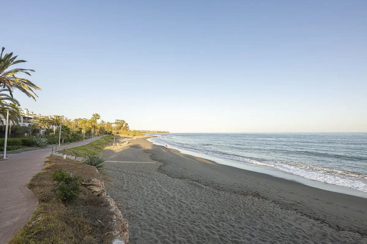 9233e4a7-481b-428c-9da6-cd549eb42e1c