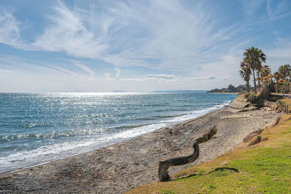 d5a116e8-5b88-4520-8e72-0bfb41bf7608