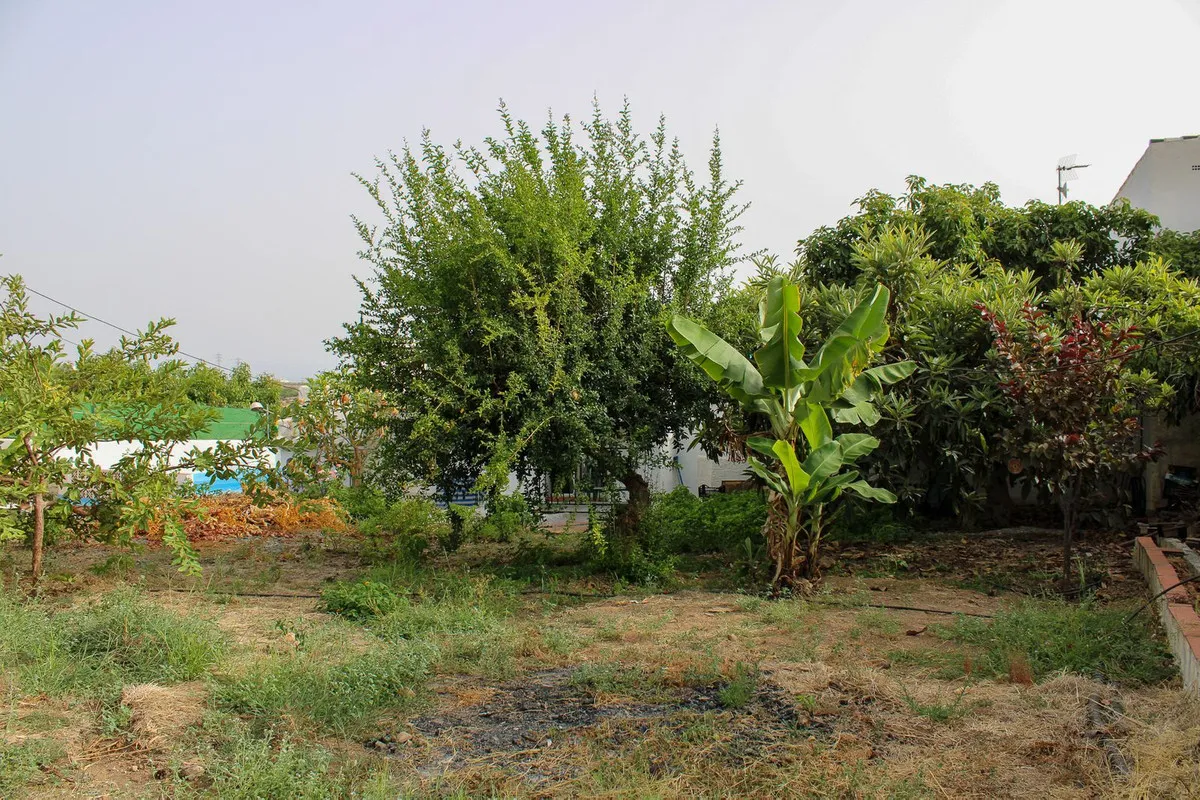 29c81441-d3b7-4ff5-80f1-434b57d841d2