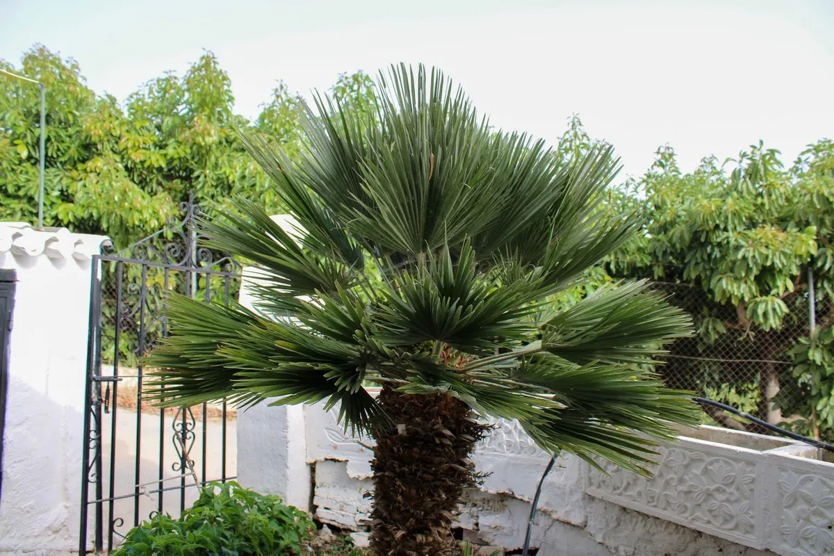 3fca3b45-06ee-4ae5-beb7-519262e44c7a