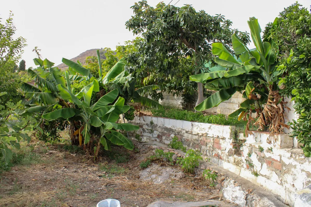 66fdbb11-c678-4505-a98a-deeab5bdd66e