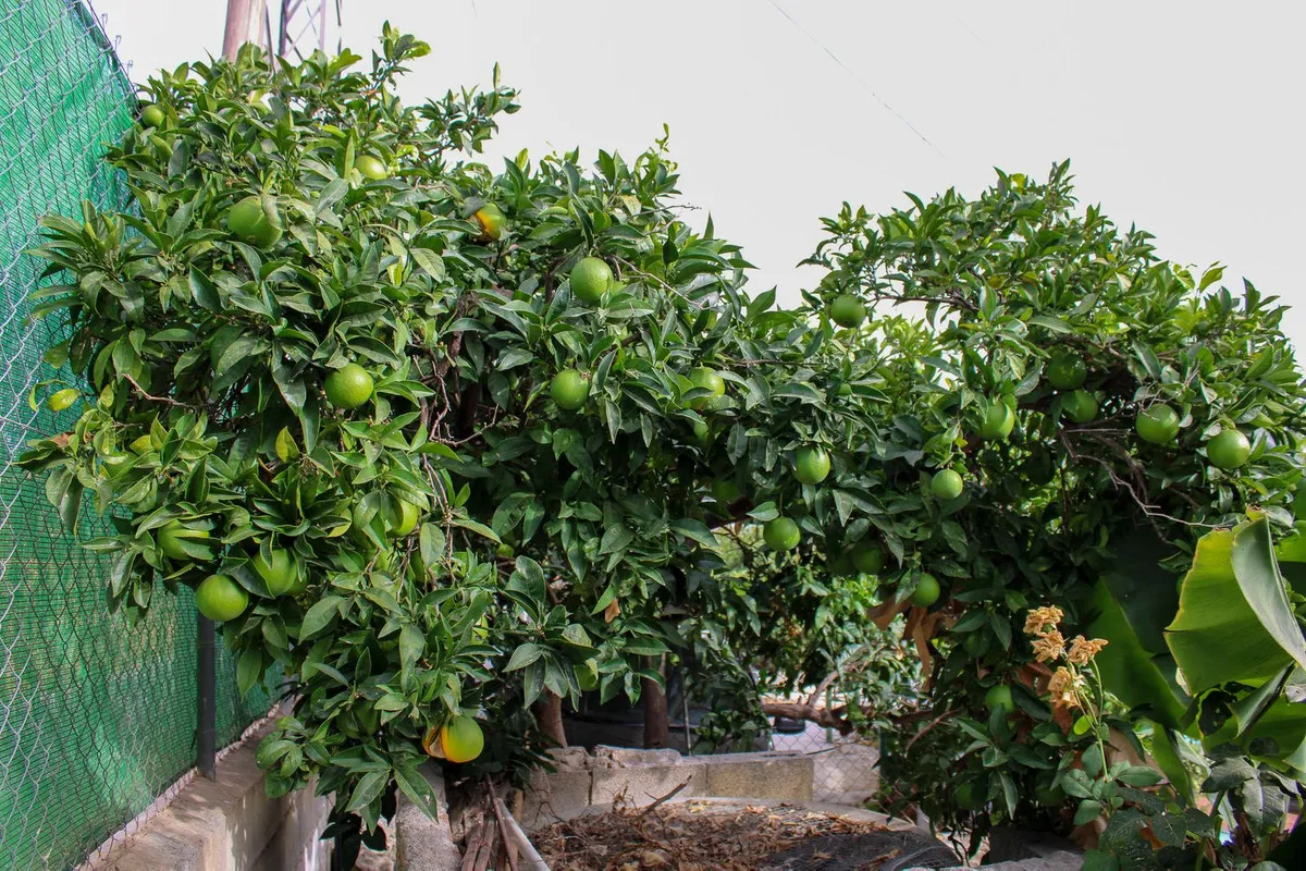 78514189-da74-43a3-91e5-a67aa4d8f9b6