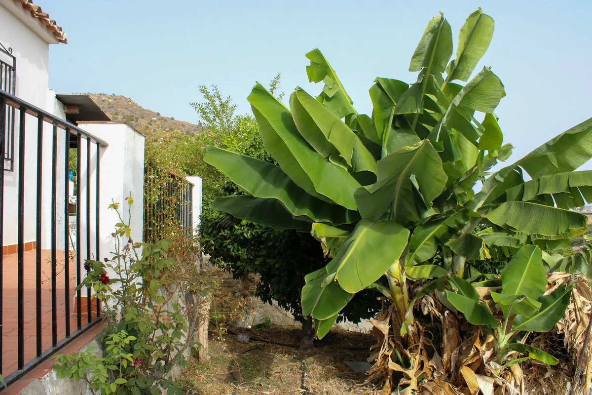 9b7c7b42-e17b-4c13-a071-c2851f329f25