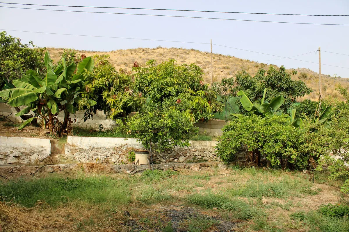 b66231c2-bd88-48e6-a70c-4ed27f668679