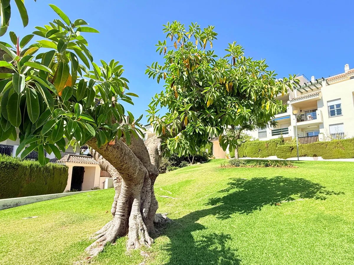 42d430a8-443f-4ae0-a3ea-a8f402475d43