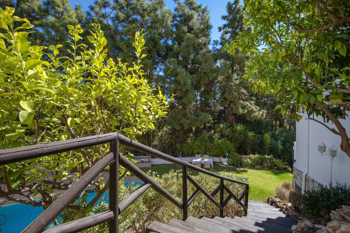 92a05931-c377-48f6-96bd-7506723d9d00