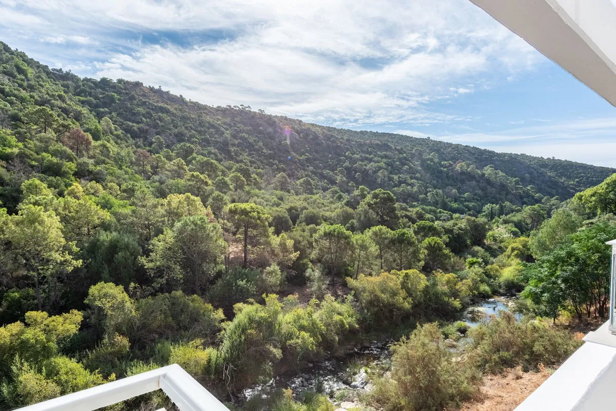 74aed086-a27a-45d0-9730-09196b6cd19b