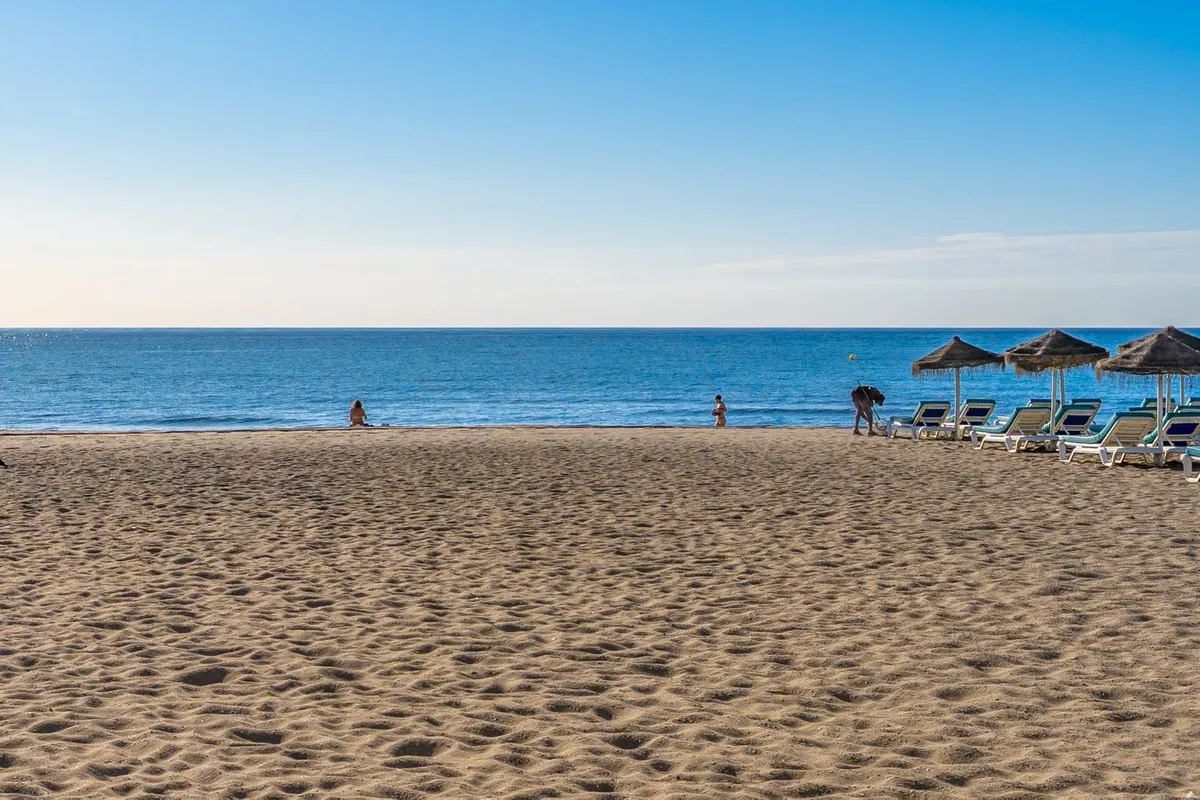 564f8ade-aee1-477a-bde9-ae593e2104d8