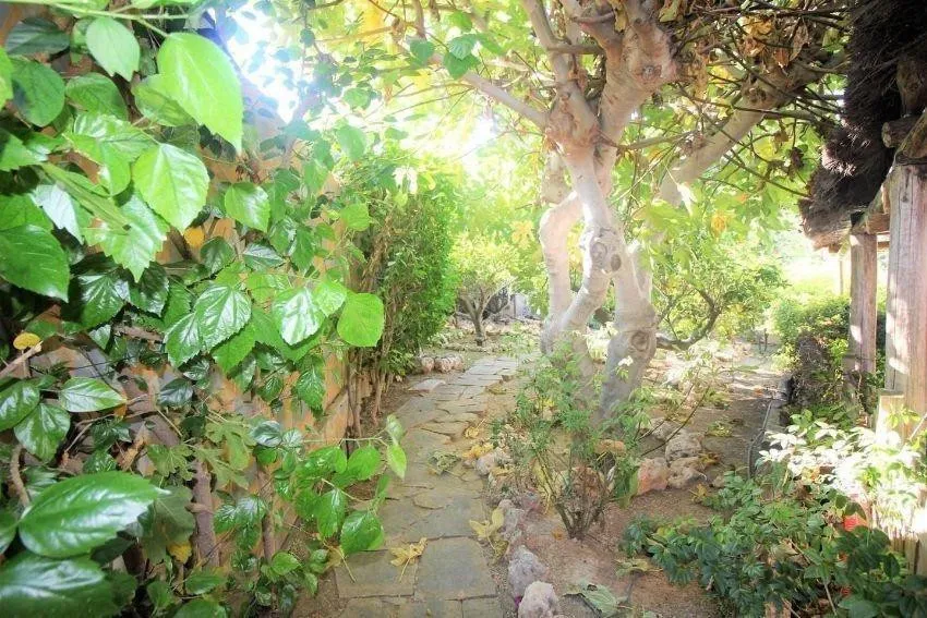 0bab0747-59bd-4aee-806f-d84052a08f20