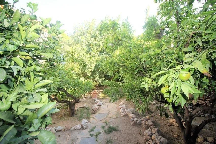 30e2baac-560e-4a2a-b26a-f3da7c7d4461