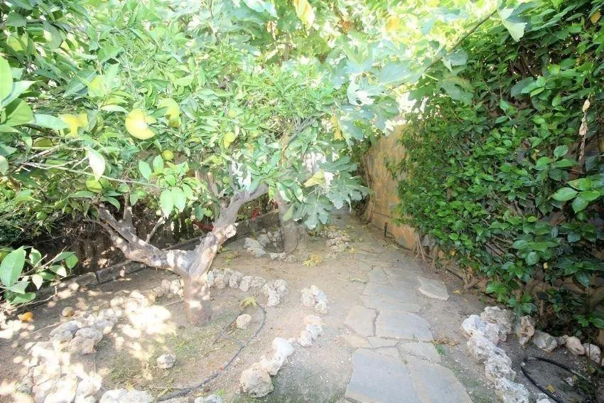 97e3fec9-a3bb-4193-8ff7-f6f00fc569de