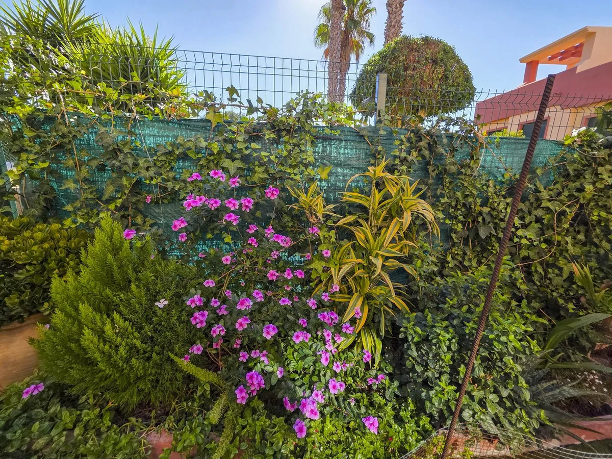 67bf4b3c-929b-4e45-b63d-6a6b640ed588