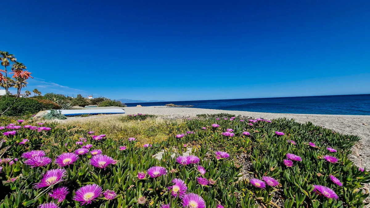 79f9f7c0-415d-4d7c-ae32-8e09f2e4f4d0