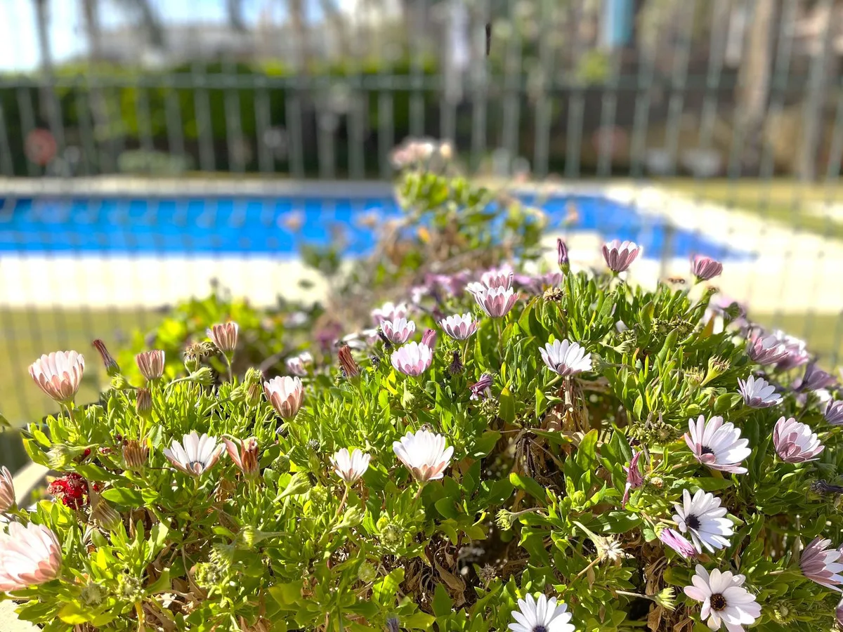 0df6df18-7cb1-4667-9ceb-6f1bee7eafca