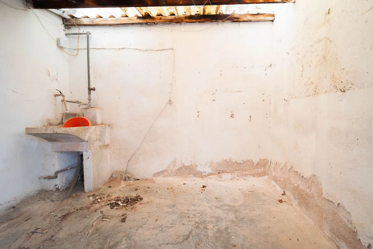 5ac2fd1f-d2a5-4797-bea5-c9c3d14cf70a