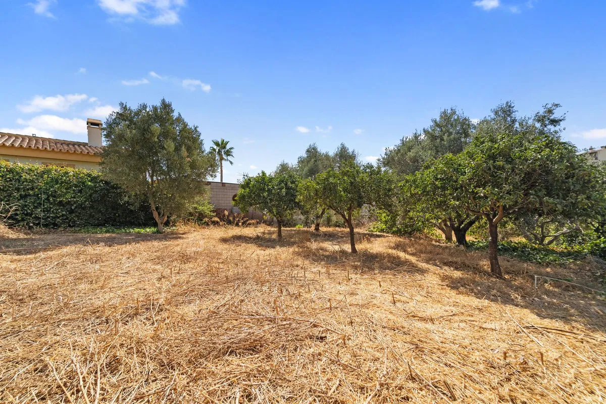 5b6816b5-e3b8-42c7-be6b-49409ccb046c