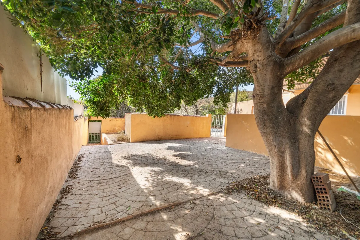 c36884b5-44ce-4fb5-99e5-1c90af97350b