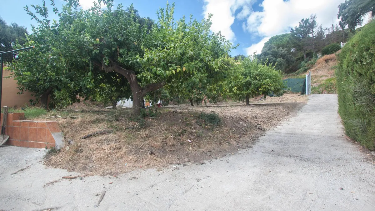 1b14a39f-5ca6-482a-8753-0e281960d6db