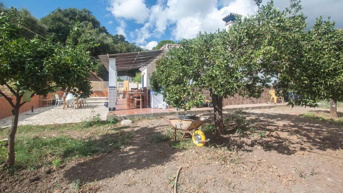 53ff9ed2-3091-421f-9c64-7b1850077ef0