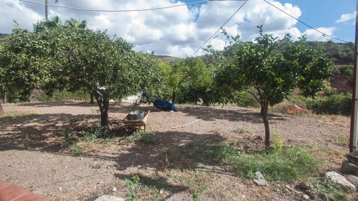 fef69eb5-9065-4793-a165-71792e1abc85