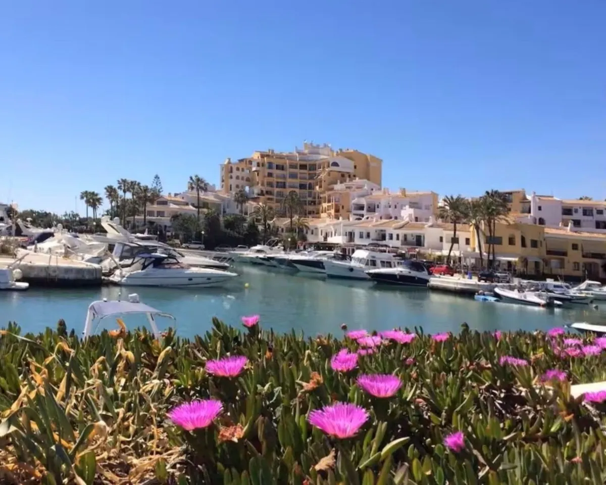 d4a9a27e-561c-404d-9f71-8a364198c530