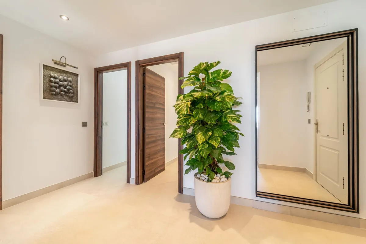 250d5274-a907-404d-be86-a7e498862ea6