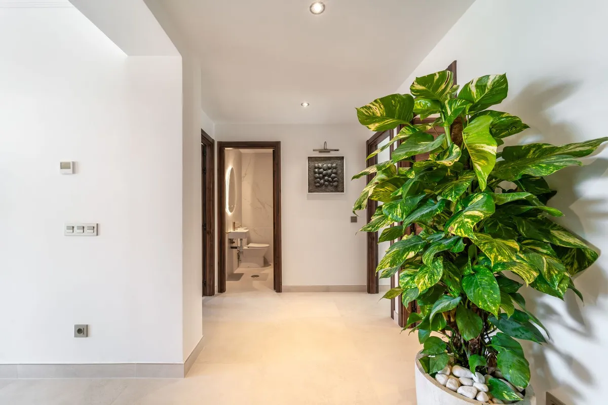 c074f17f-076a-479a-93e5-738c1d5b0c7e