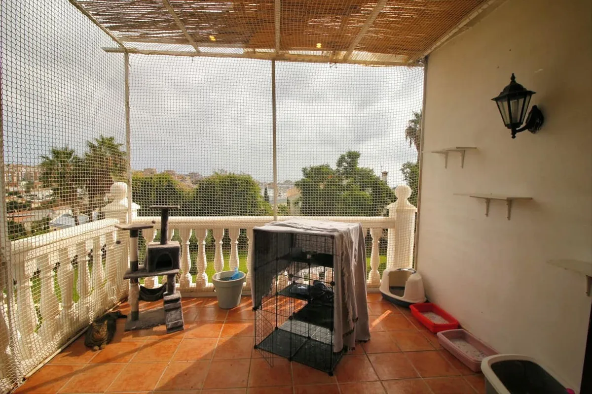 f7987b18-37f4-49f9-aab7-79bb07f72d5e