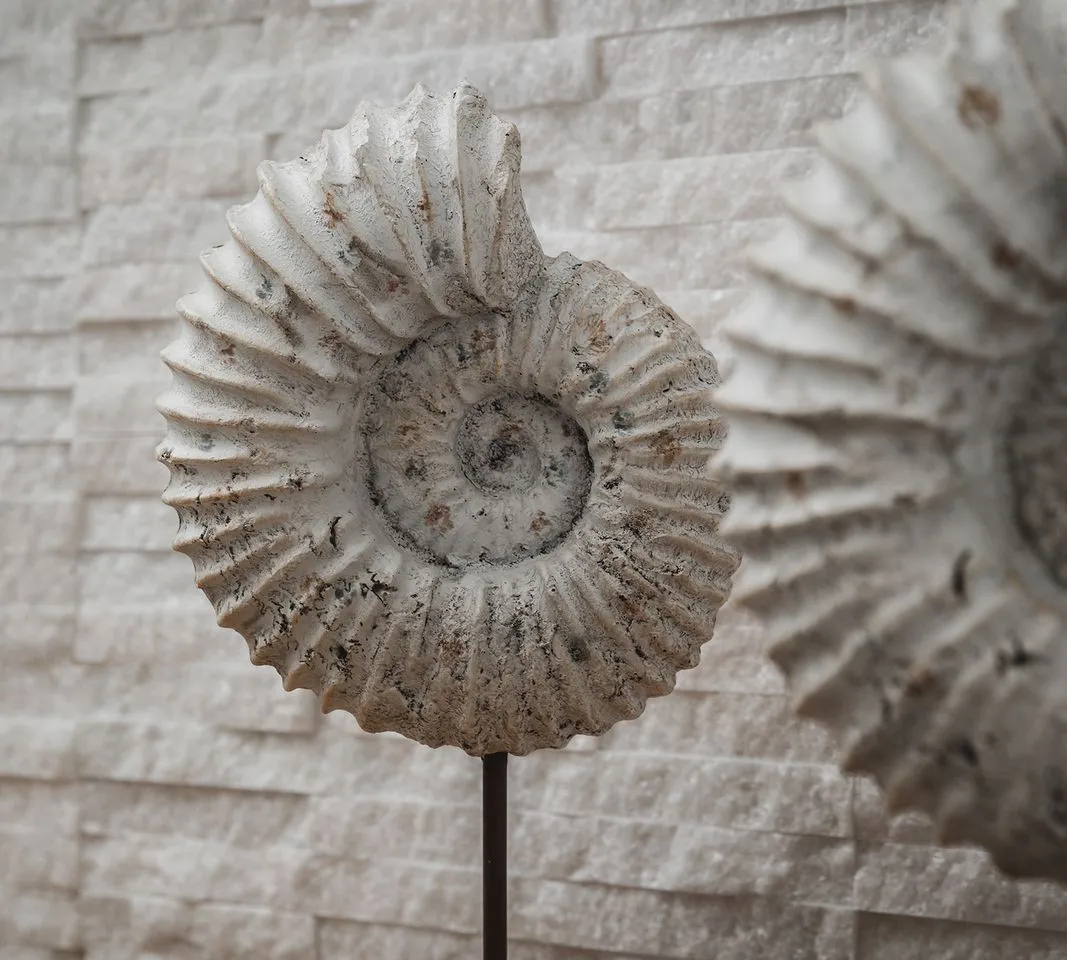 06af04bc-b3ca-4629-a652-ff04b0948d1d