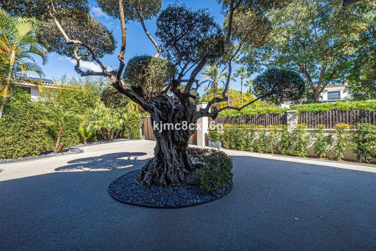 6b0acaa8-ebb5-4118-8d6e-d370ea7f1e4f