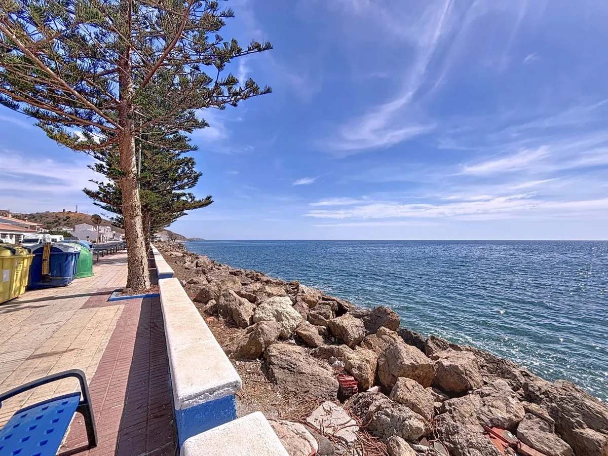 5c56f8de-5a7c-45fd-9b90-8a4883cdee90