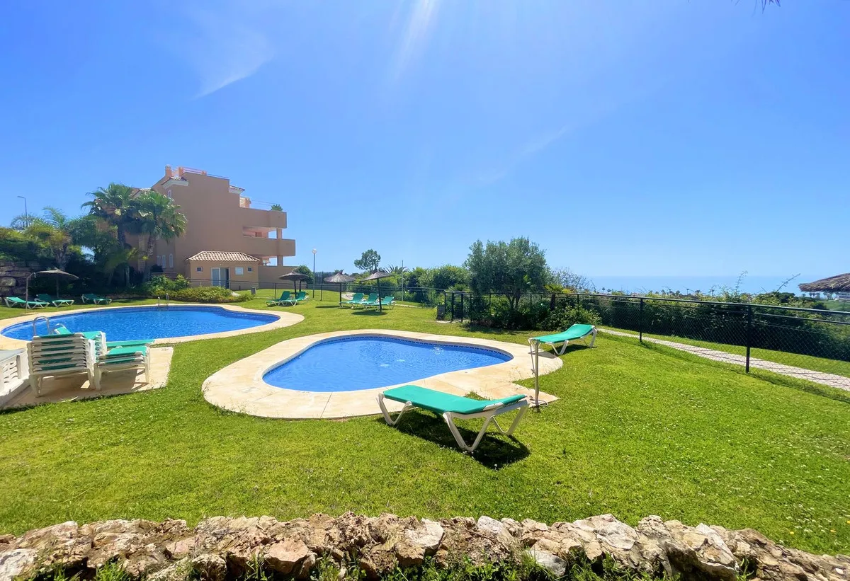 93d488d8-817f-4ee0-a104-ea133c50fee5