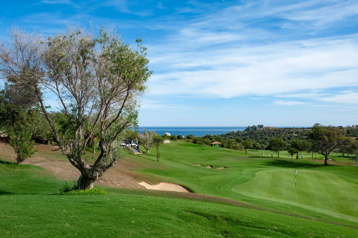 175168e1-9a14-43fe-8c9b-6a2b18e9e2ab