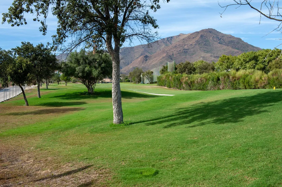 44425198-73b7-4369-b582-256001e53644