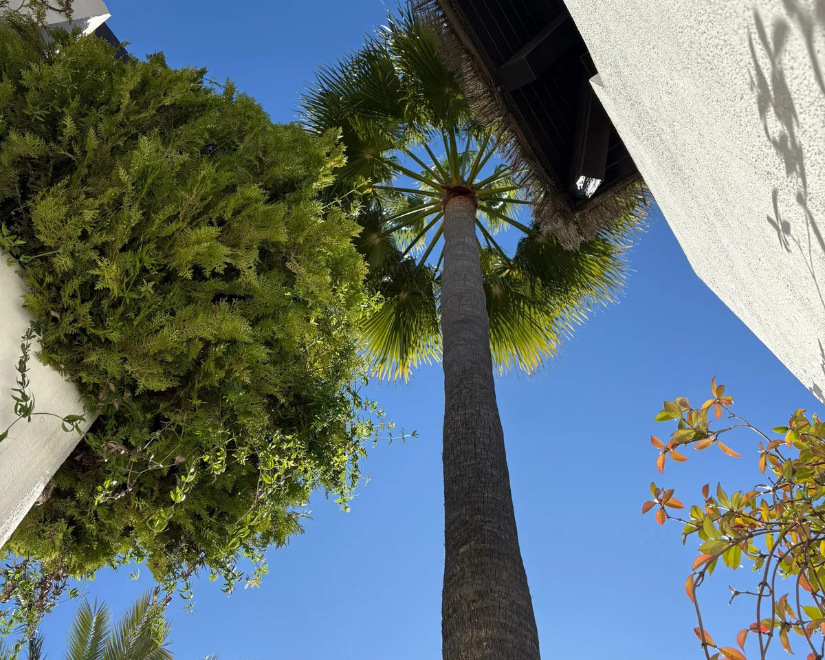 a675606c-c9c1-4315-8f04-3615ffa32a43