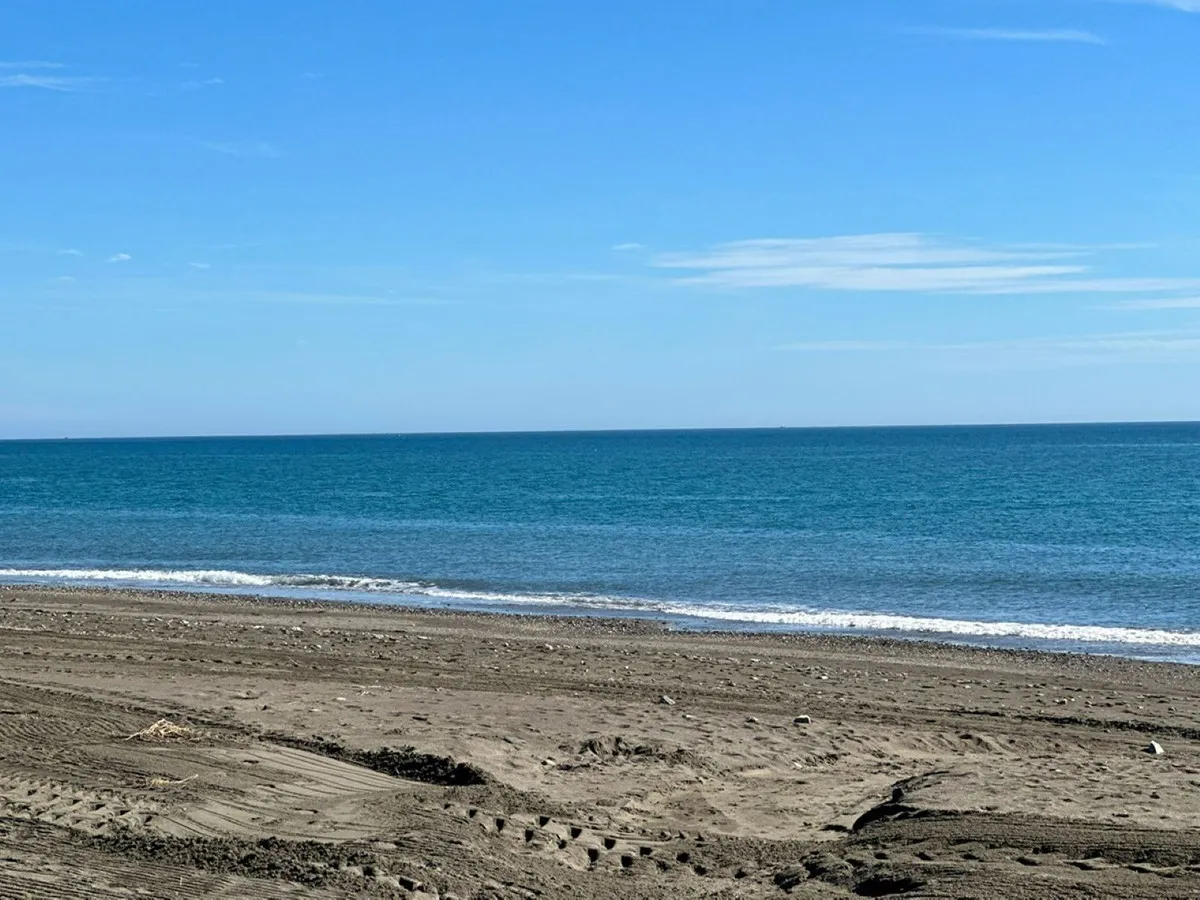 e5918342-ed9d-42e5-b80d-1020cc6fa477