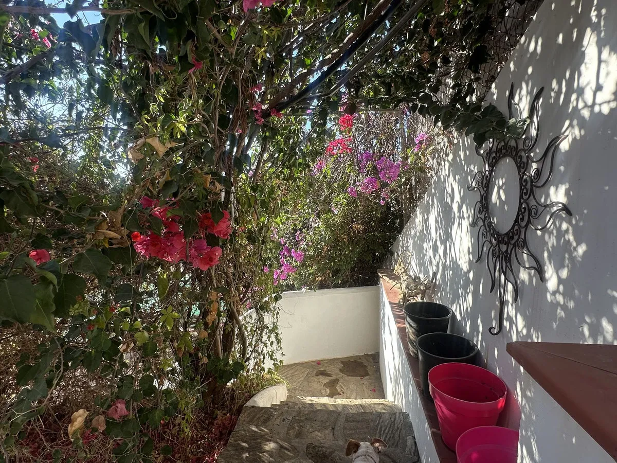 45697886-55b5-4565-935e-a94583ec0f30