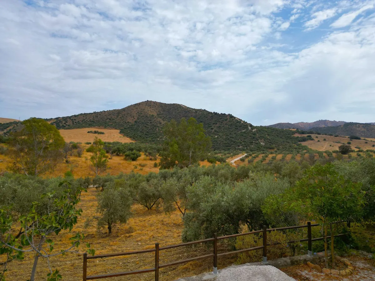 0d70891e-8248-4bd0-8fd8-cde8d31a1d69