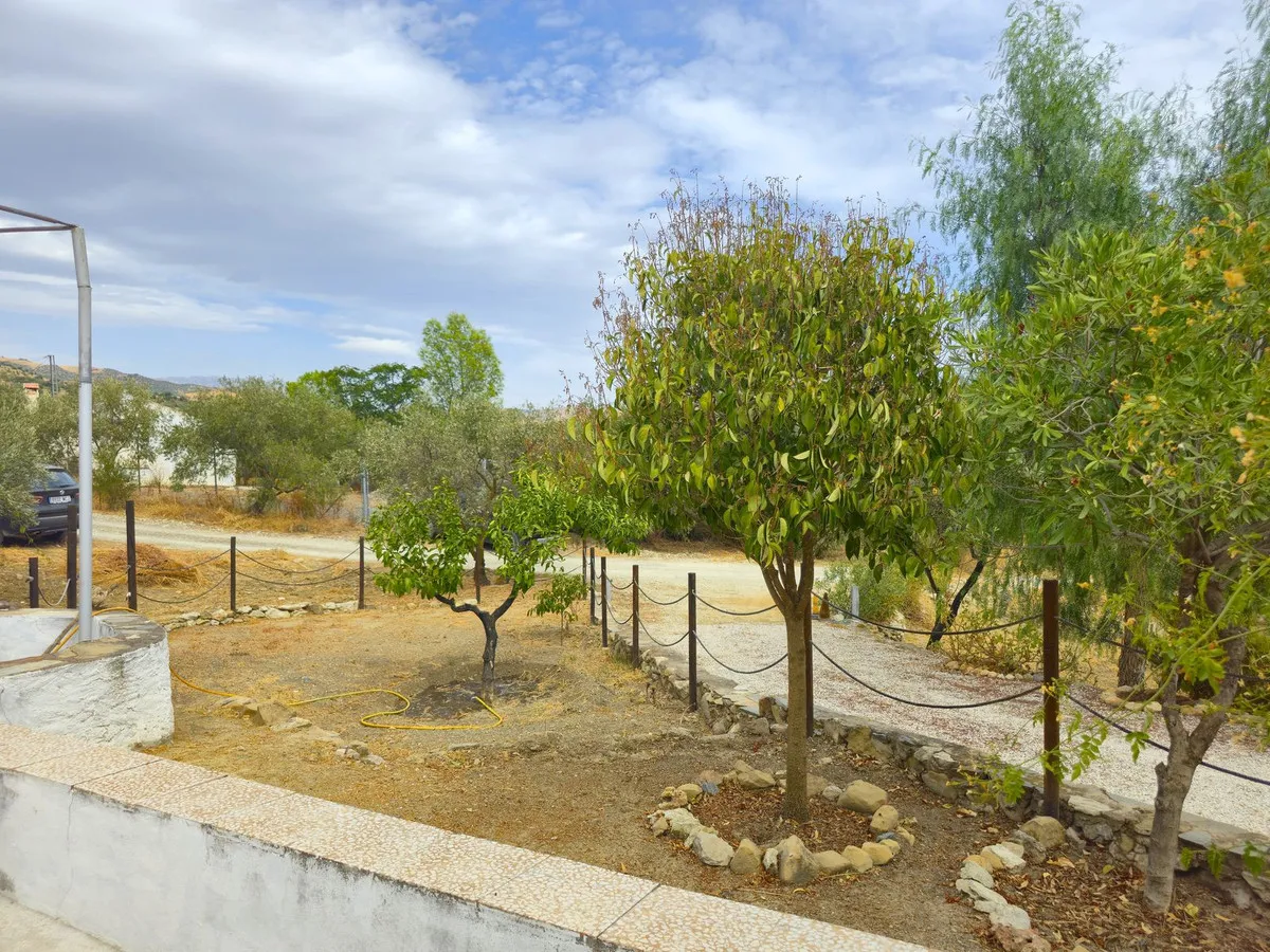 1856a21f-79e4-4c16-ac89-3e18b4a46620