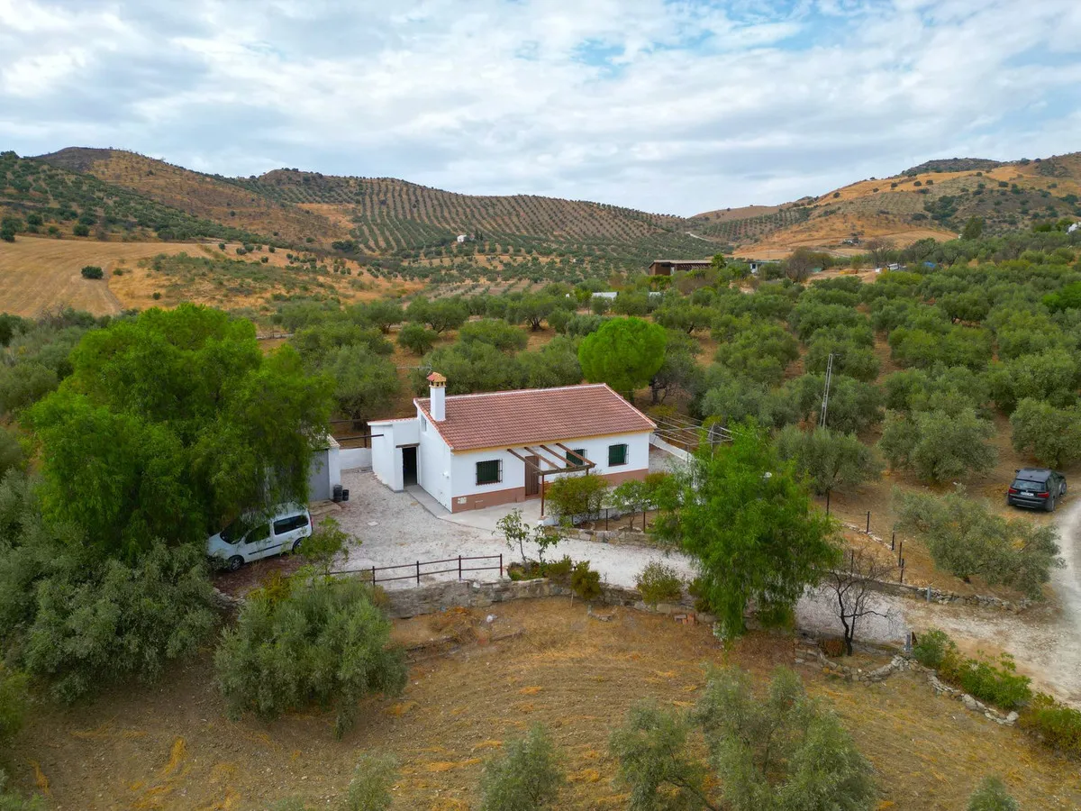 553802a1-d6bd-40ea-8c11-f0bcec5c03ad