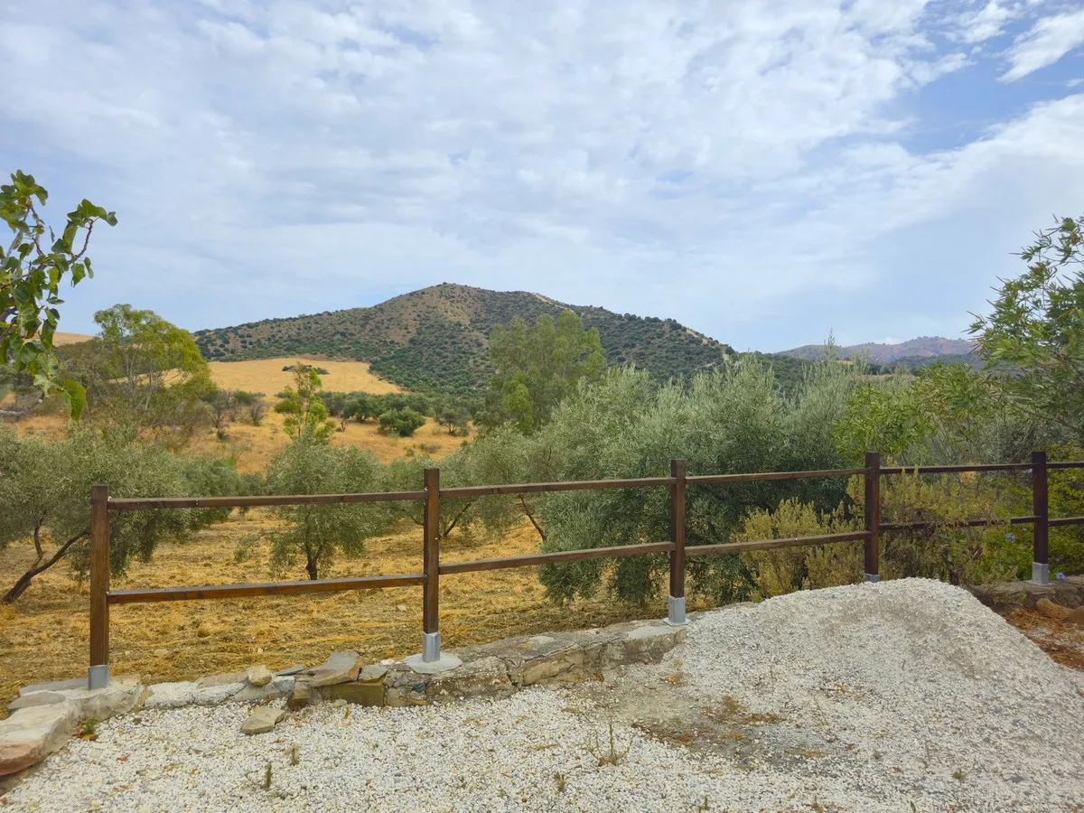 8d71a381-1c04-4148-a7a3-7b692d485519