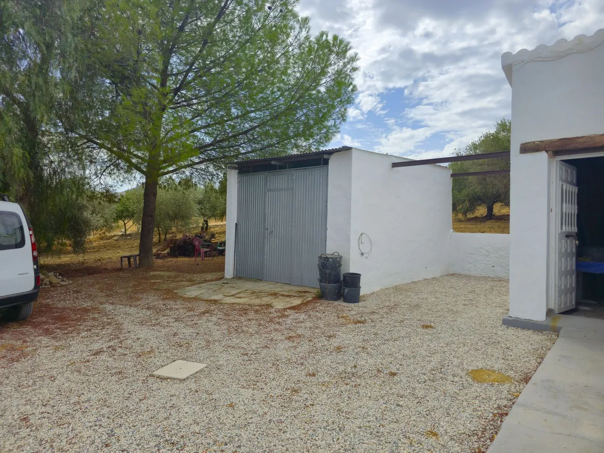 c11c349c-e8dd-43b9-a392-b0b9eae6c536