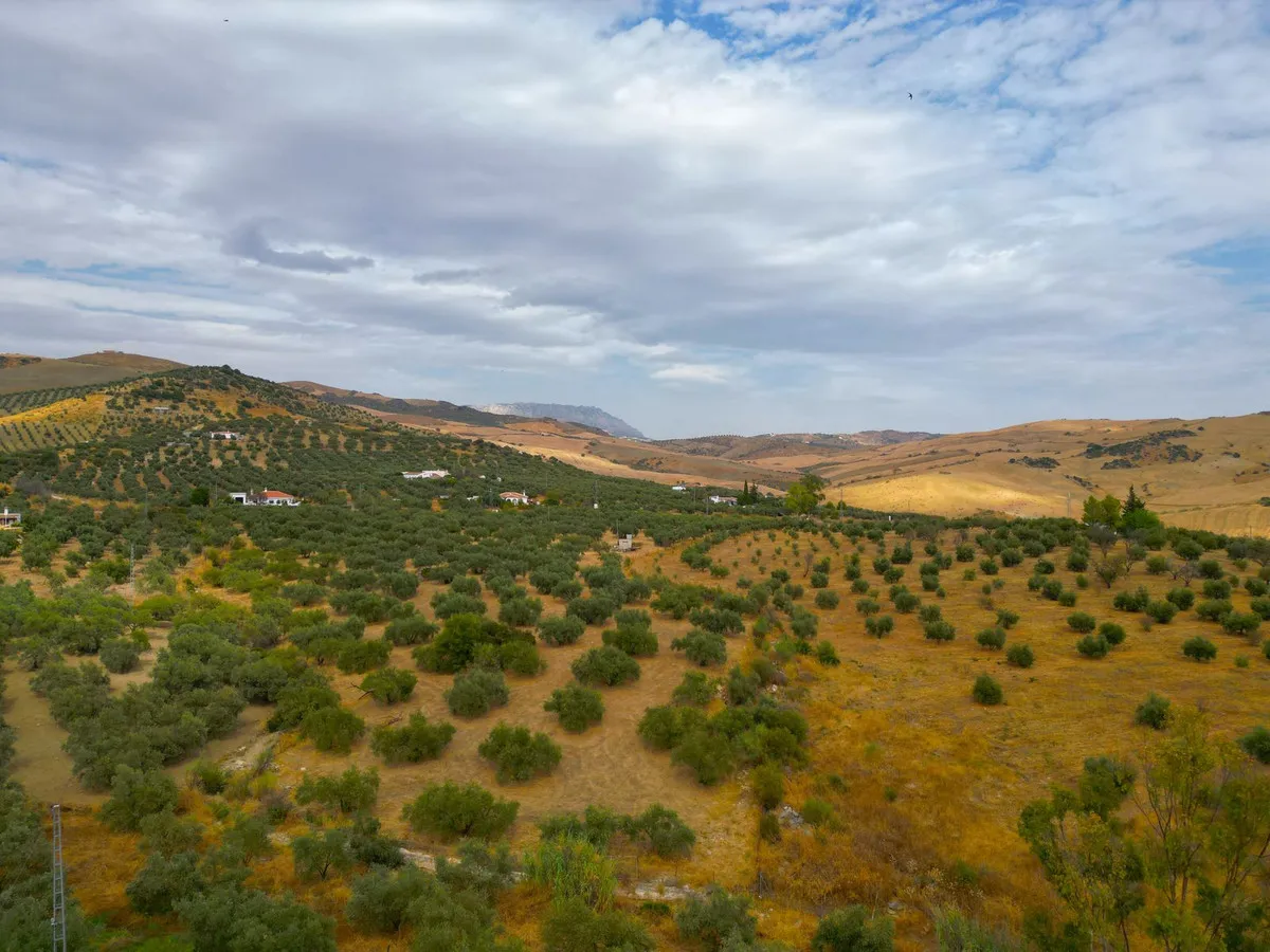 f115641d-6307-4e81-8a36-b4403f11d5e4