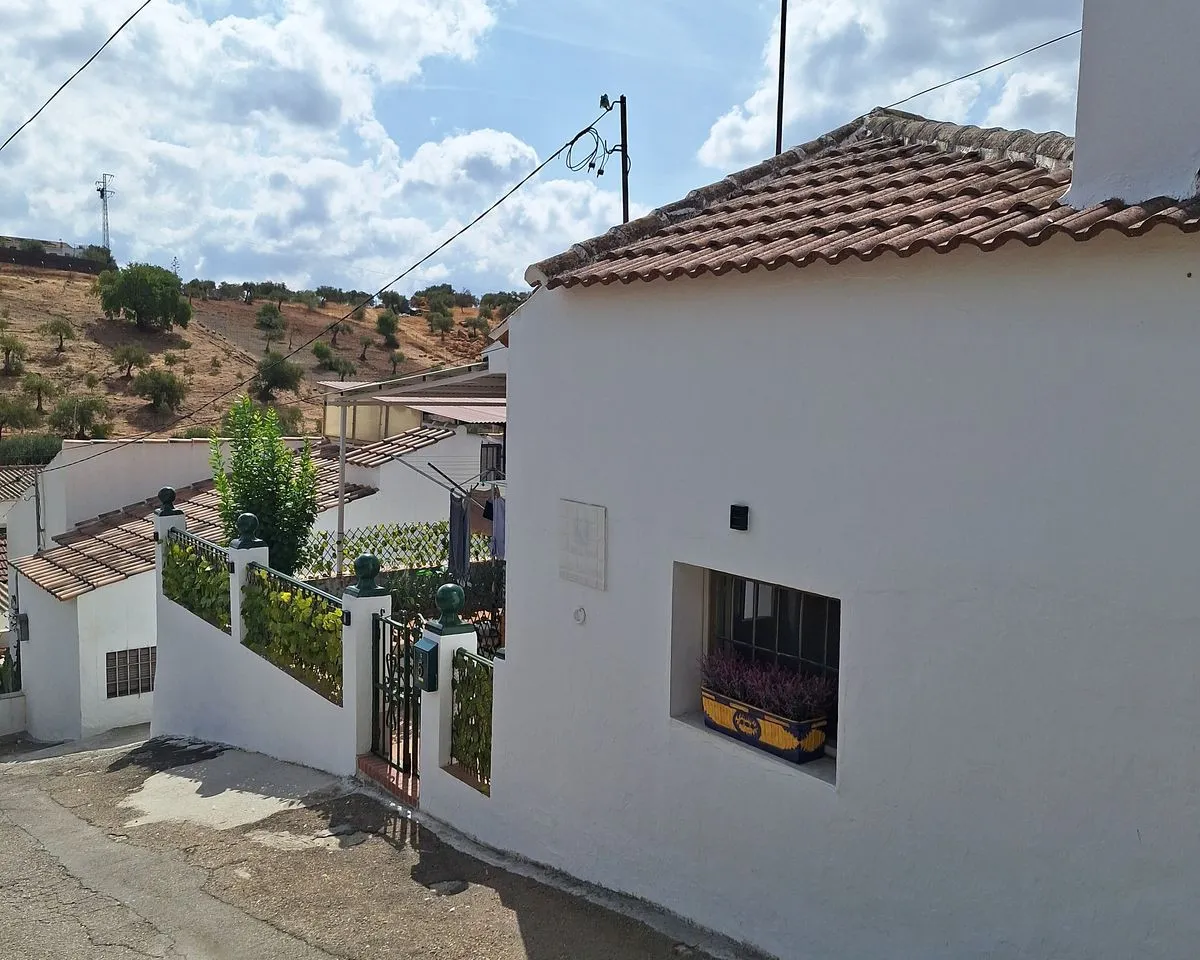 fc181059-a93c-4f99-915e-96838027628c