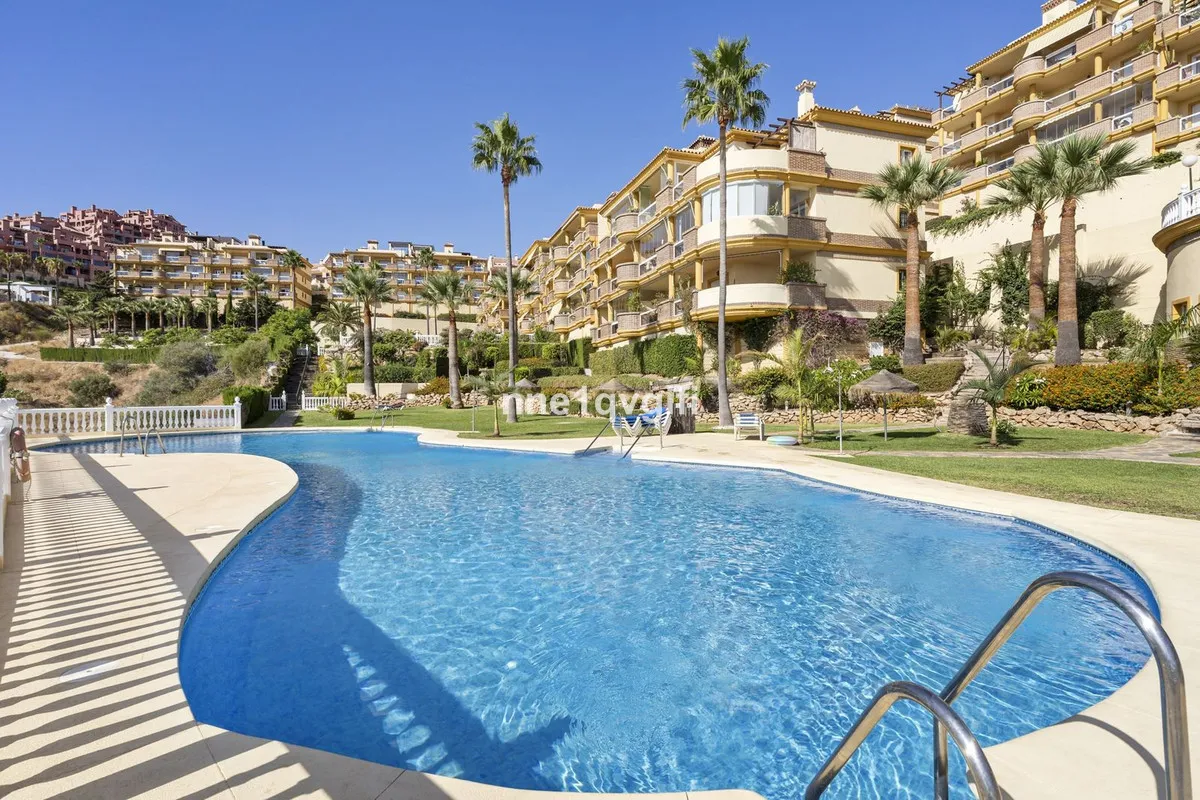 a582c0d7-6f56-44e2-89ca-a9c758d8a726