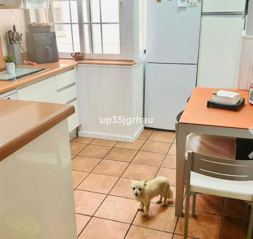 f38b5be6-88c0-42ea-bf7a-ac3b5f9b1f4e