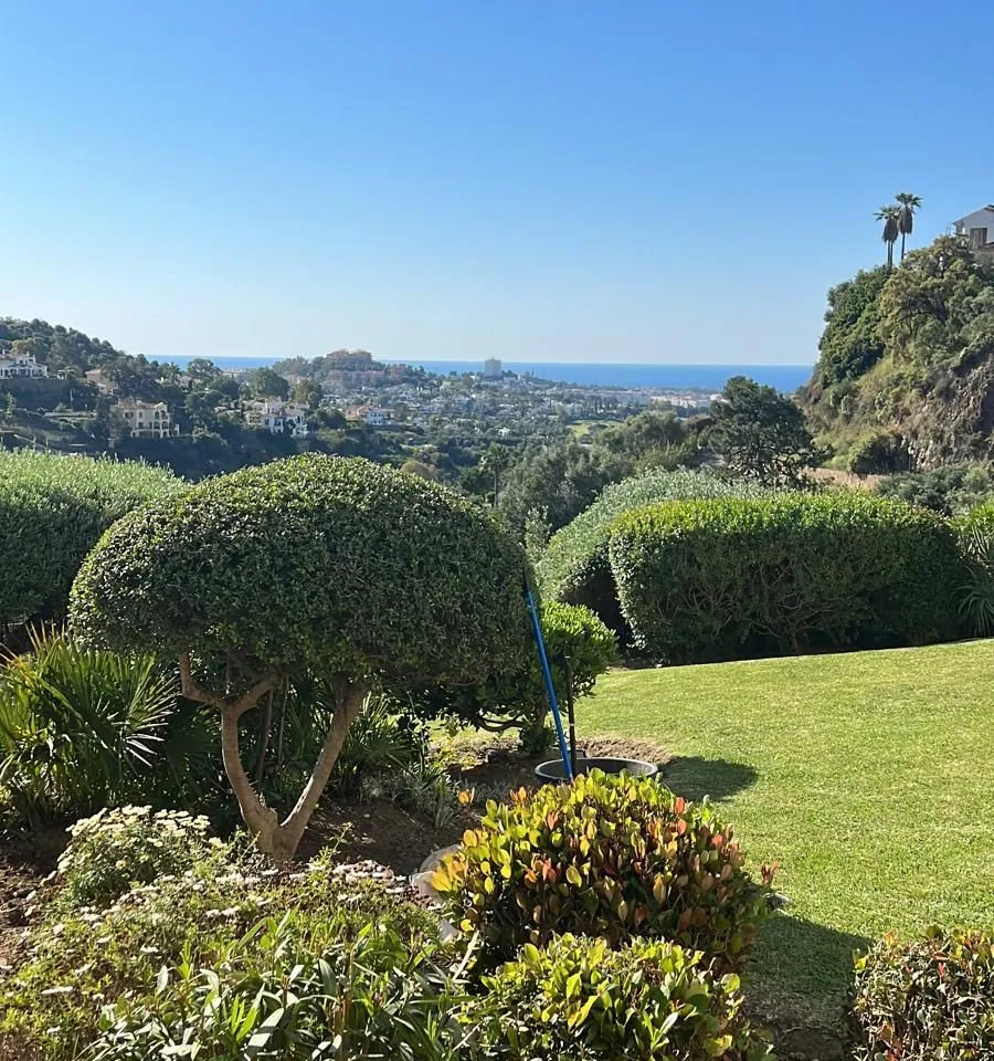 0455c3e6-1ac4-4c4b-baf1-f807853a7c87