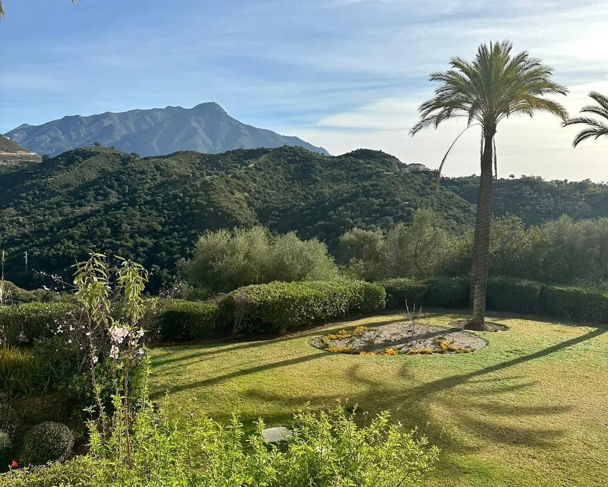 d8806bf1-60b7-4a2a-bf87-1c876c0fc60b